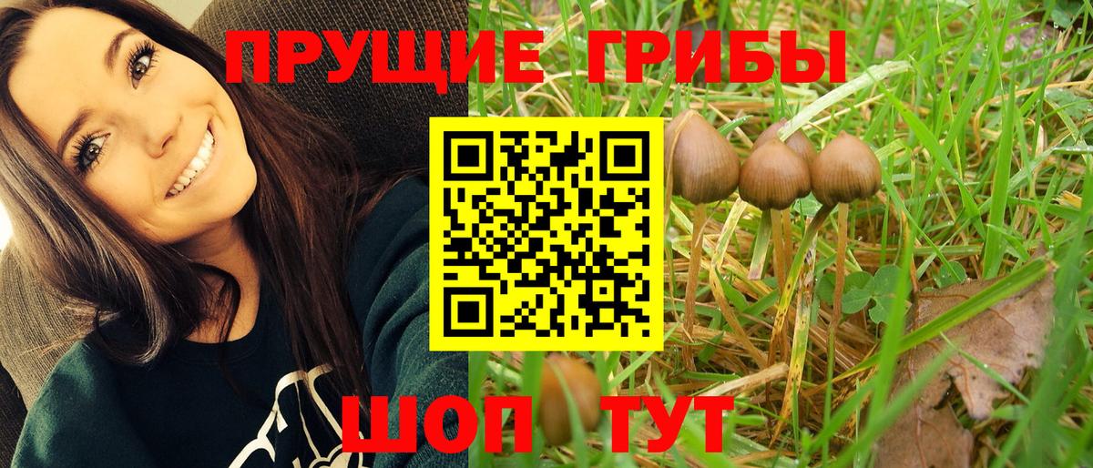 Псилоцибиновые грибы MAGIC MUSHROOMS Лосино-Петровский