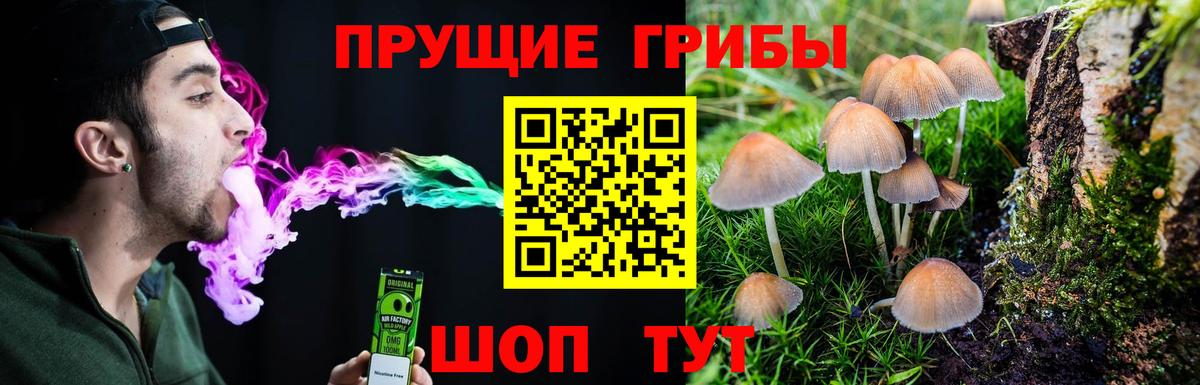Лосино-Петровский  Псилоцибиновые грибы Psilocybine cubensis  Вход с VPN 